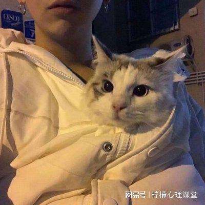 我的贴身校花手游破解版下载