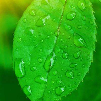 幻想三国2正版游戏下载